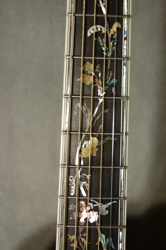 Ruby Custom- Fretboard View #2